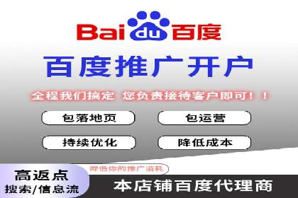 高效百度推广案例解析及优化策略